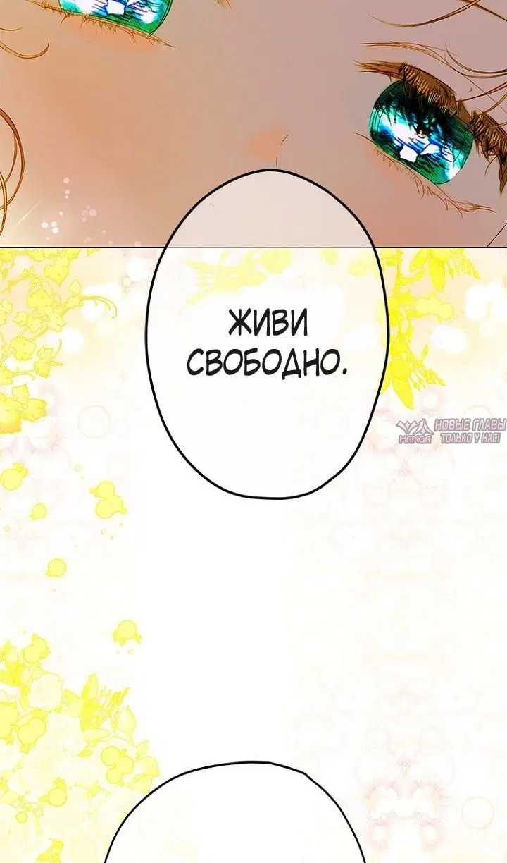 Page 38.000