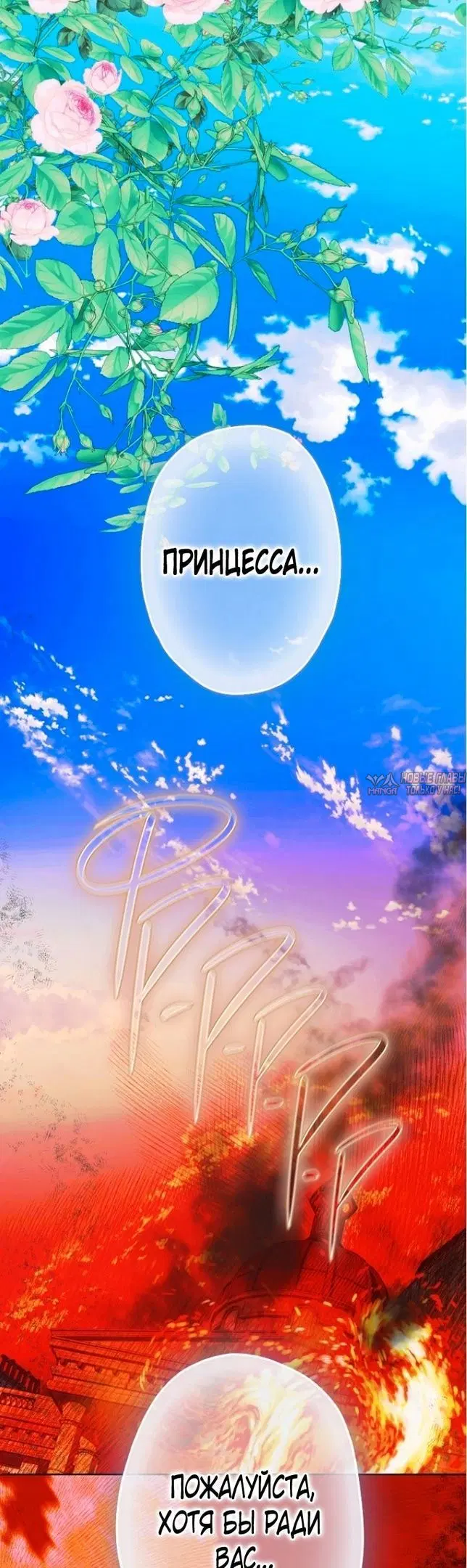 Page 31.000