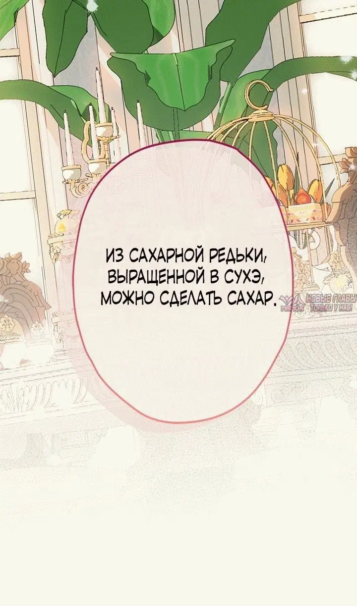 Page 44.000