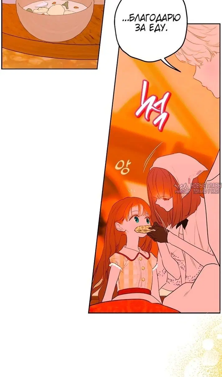 Page 41.000