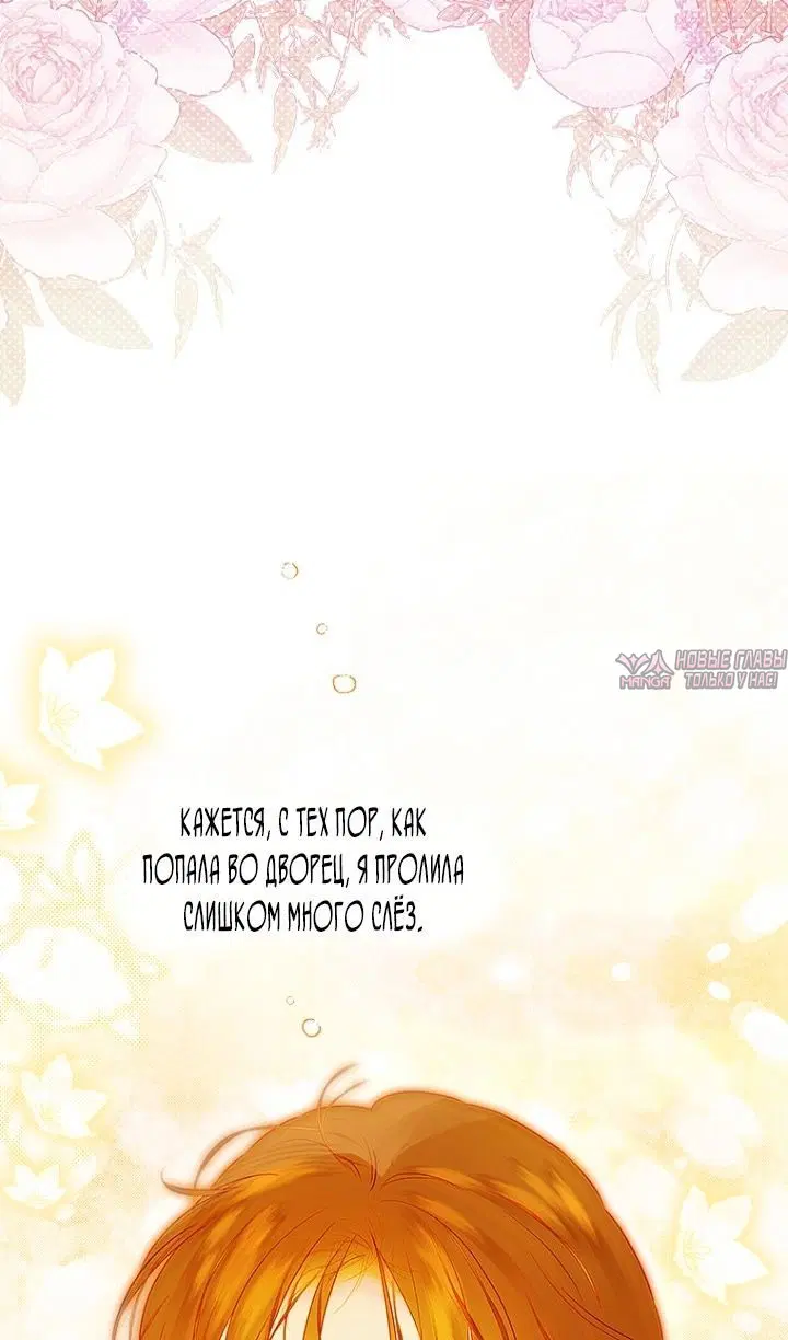 Page 42.000