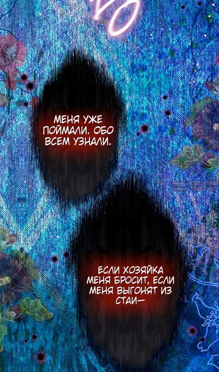 Page 42.000