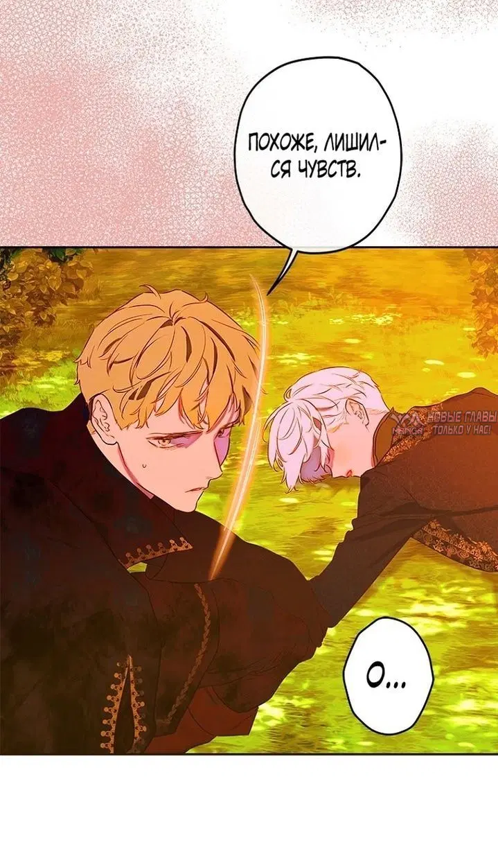 Page 51.000