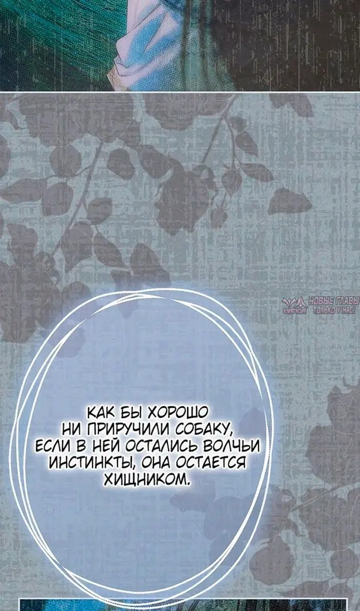 Page 53.000