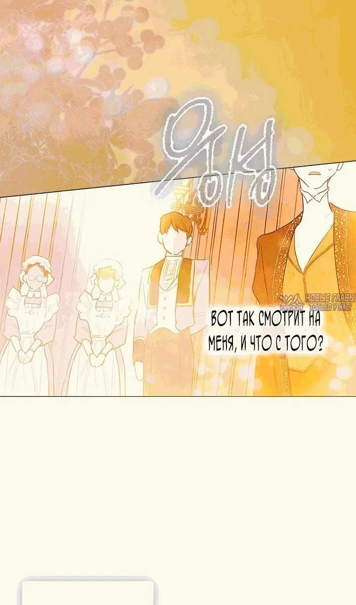 Page 53.000