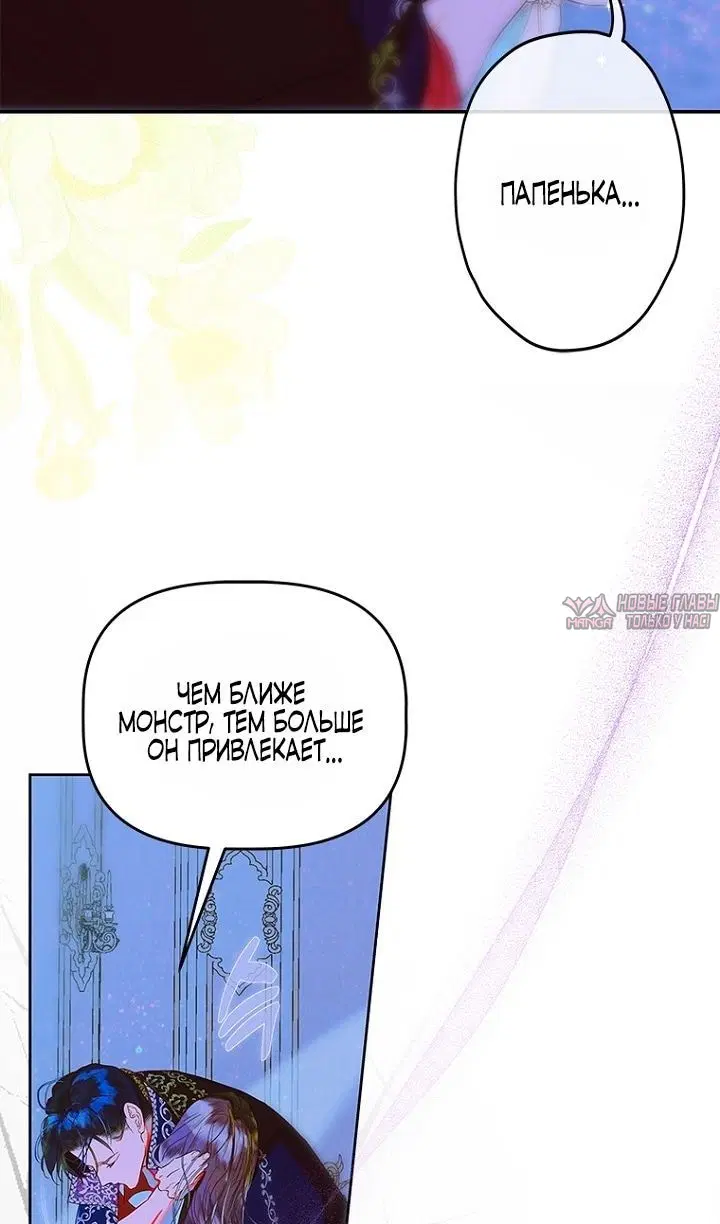 Page 81.000
