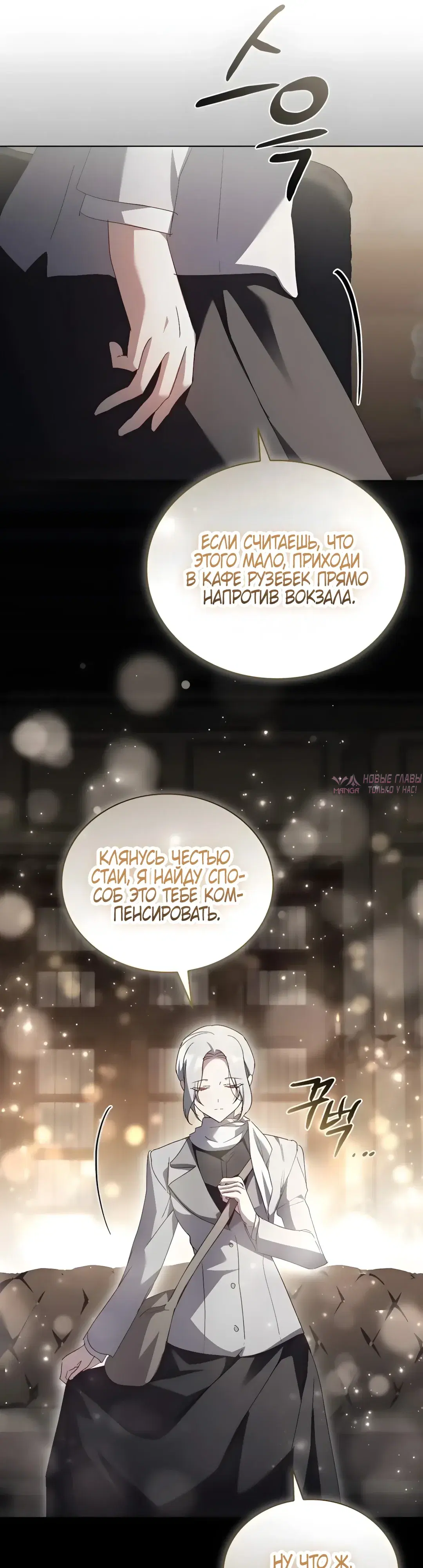 «Разыскивается волчица, обманувшая чёрную змею», глава 10, страница 17.000000000