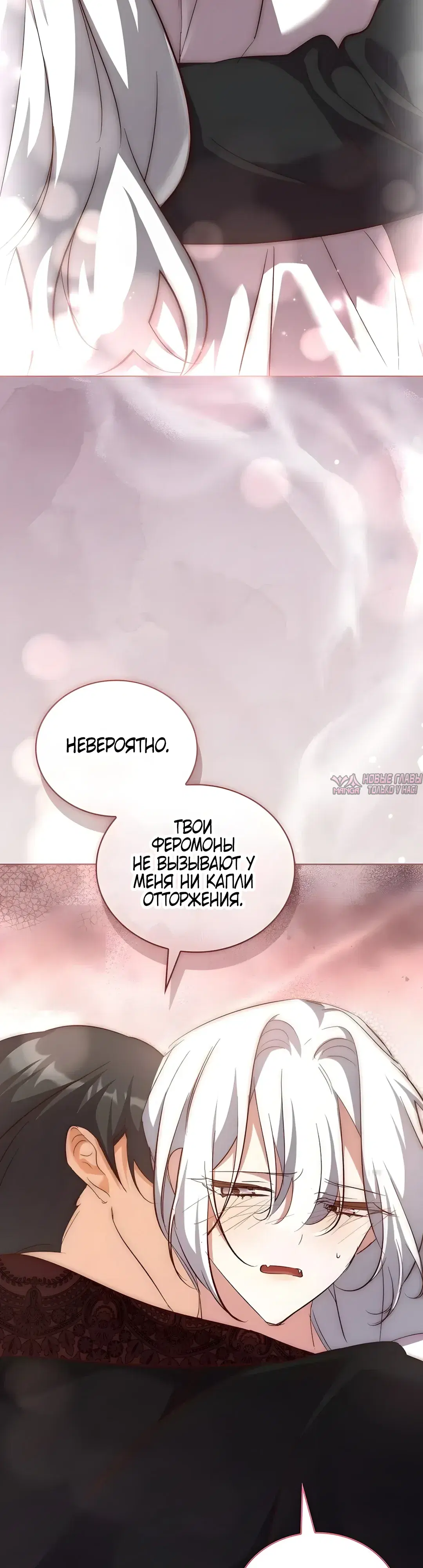 «Разыскивается волчица, обманувшая чёрную змею», глава 4, страница 21.000000000