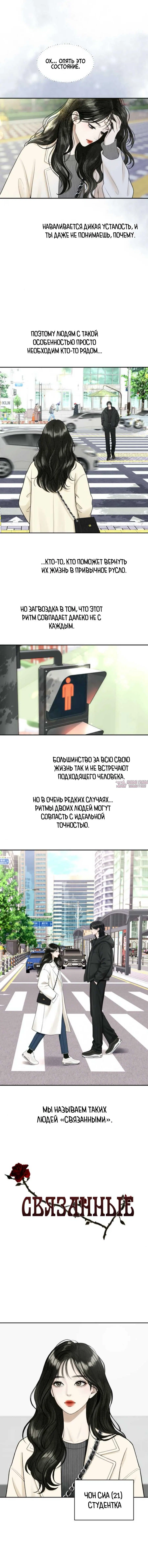 «Связанные», глава 1, страница 2.000000000