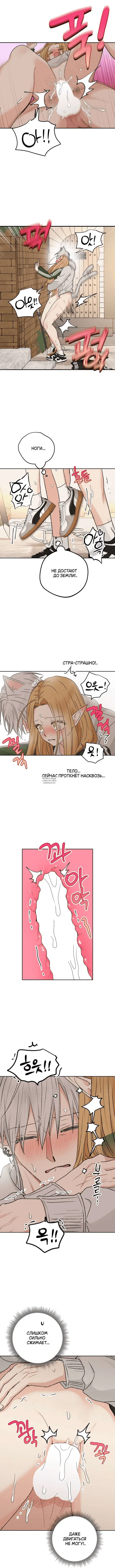 Page 2.000