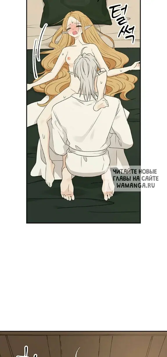 Page 39.000