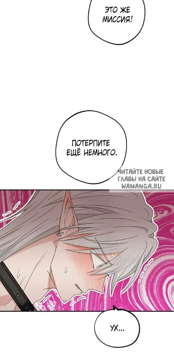 Page 43.000
