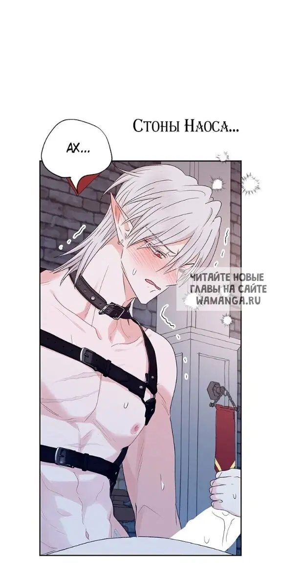 Page 51.000