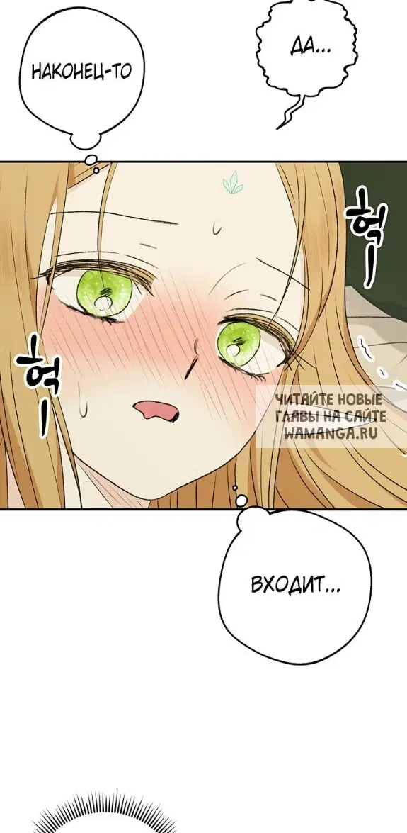 Page 51.000