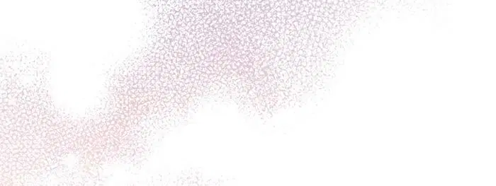 Page 1.002