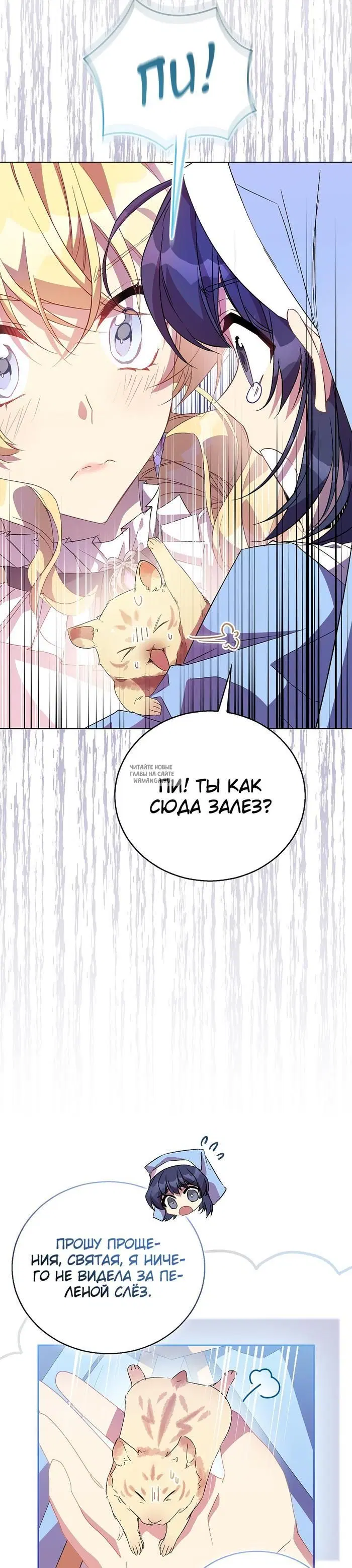 Page 28.000