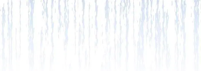 Page 3.002