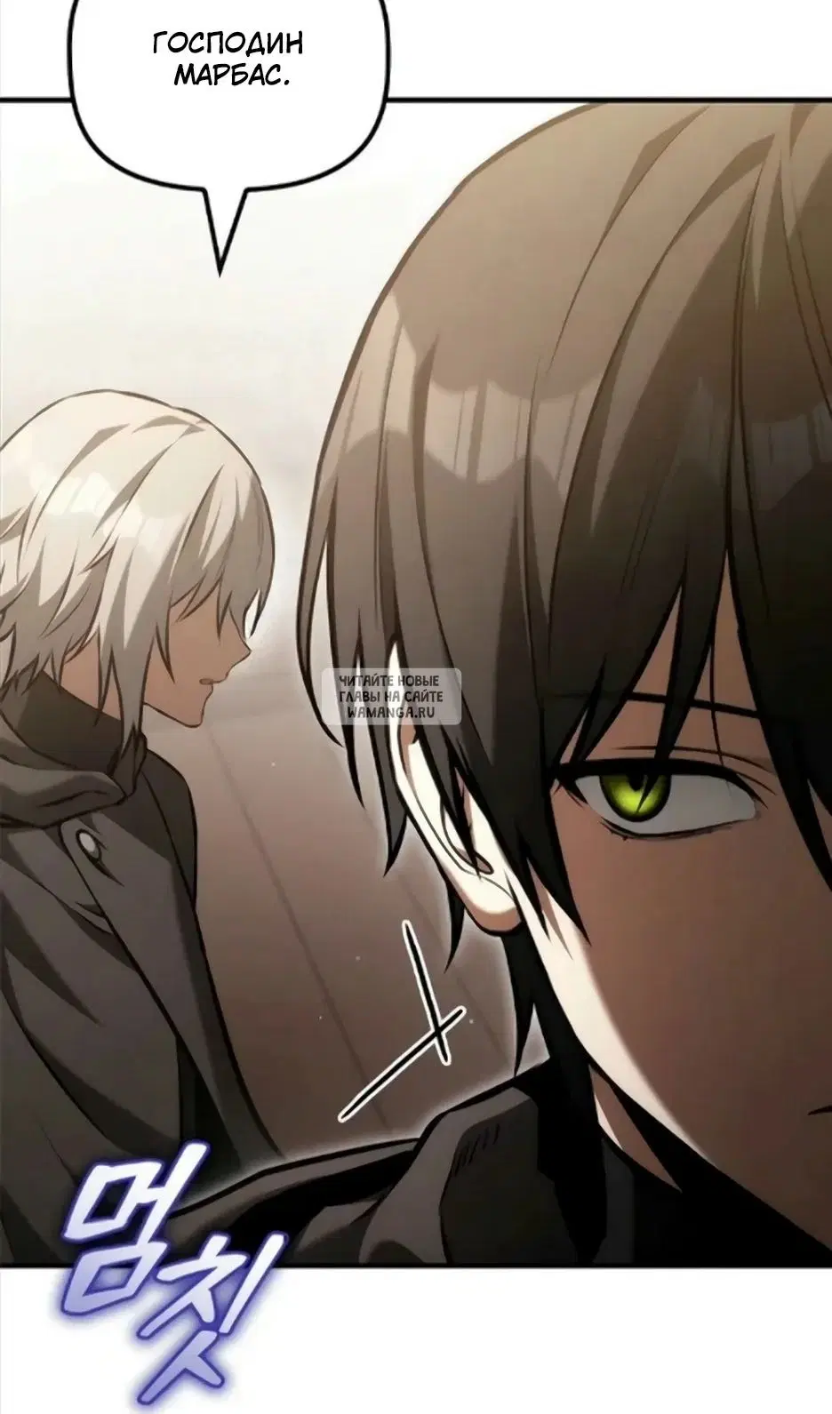 Page 25.000
