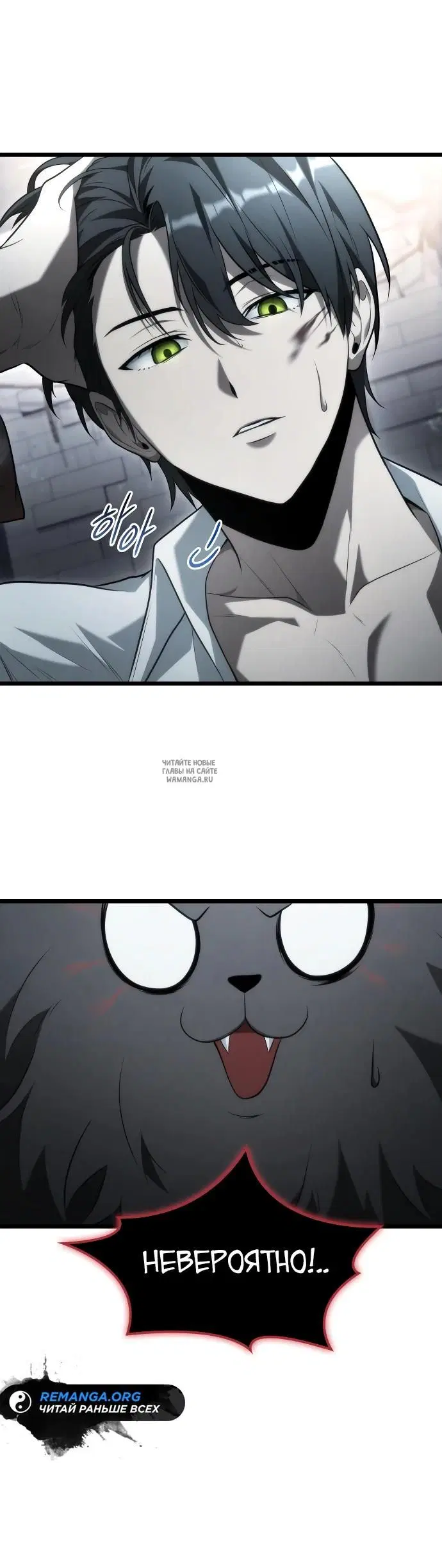 Page 20.000