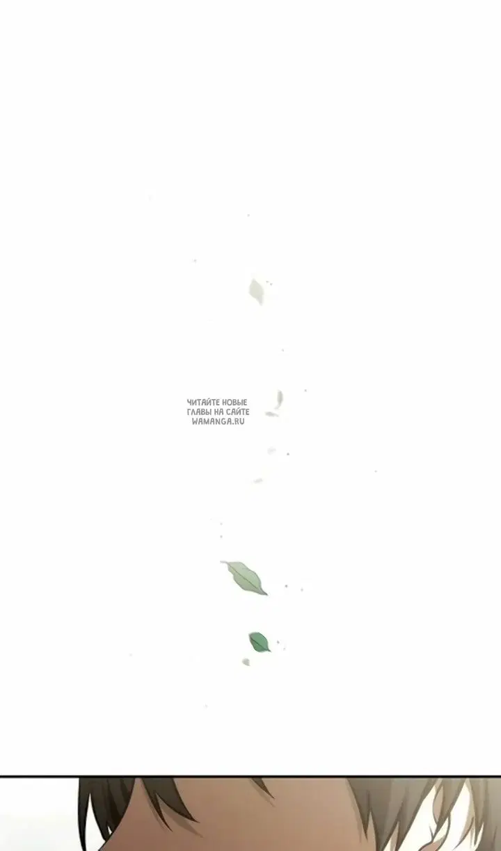Page 38.000