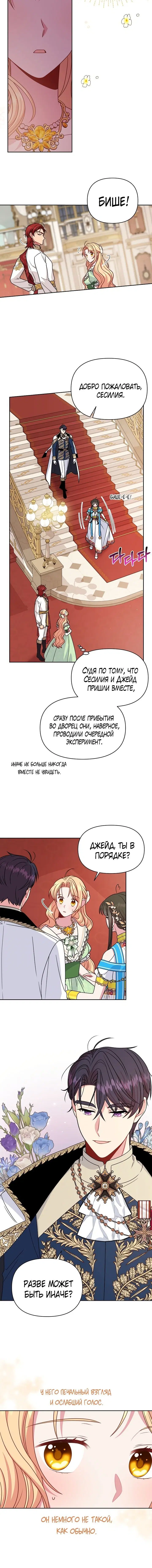 Page 5.001
