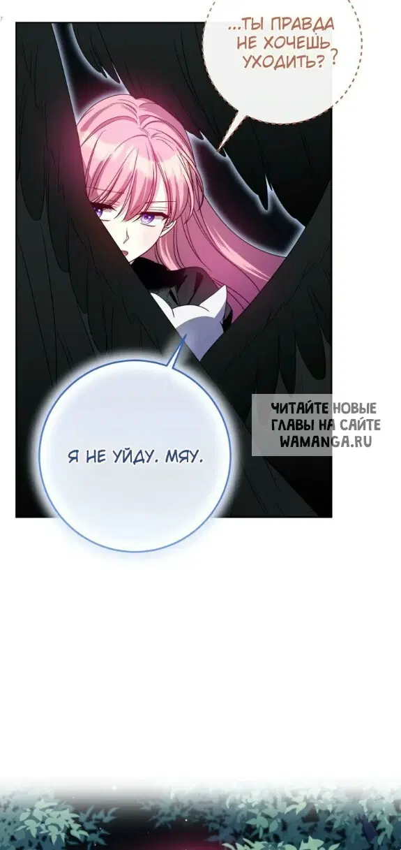 Page 35.000
