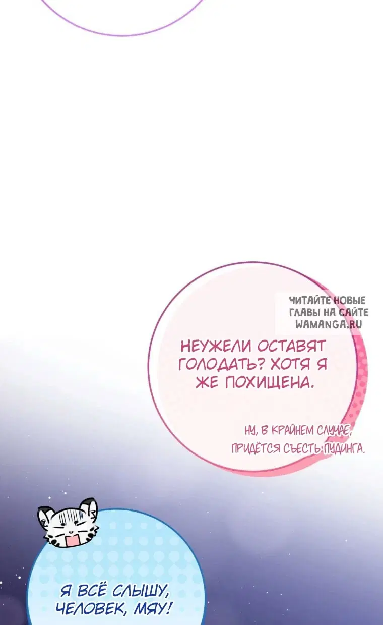 Page 36.000