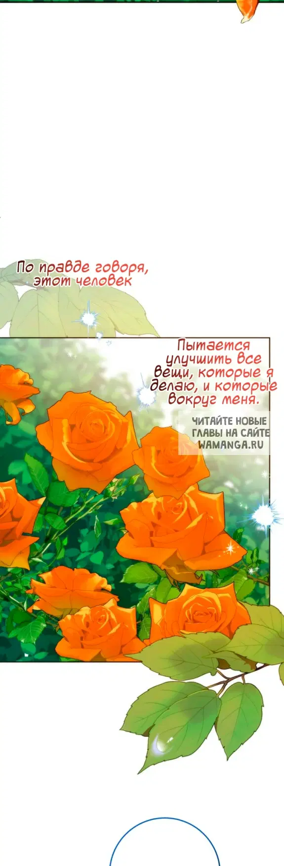 Page 36.000