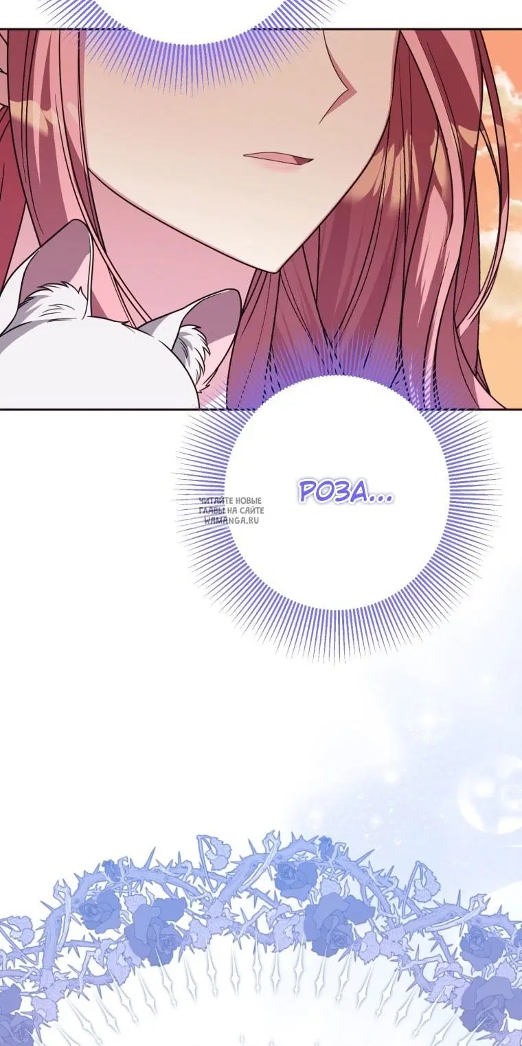 Page 36.000