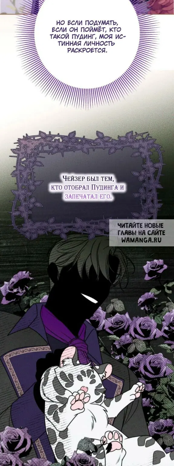 Page 37.000
