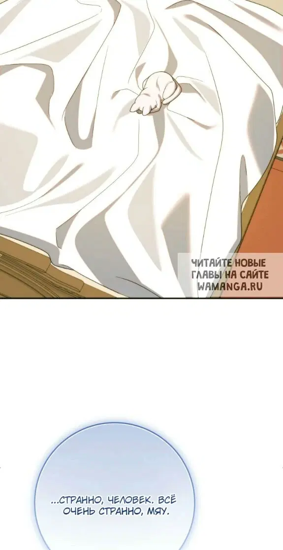 Page 44.000