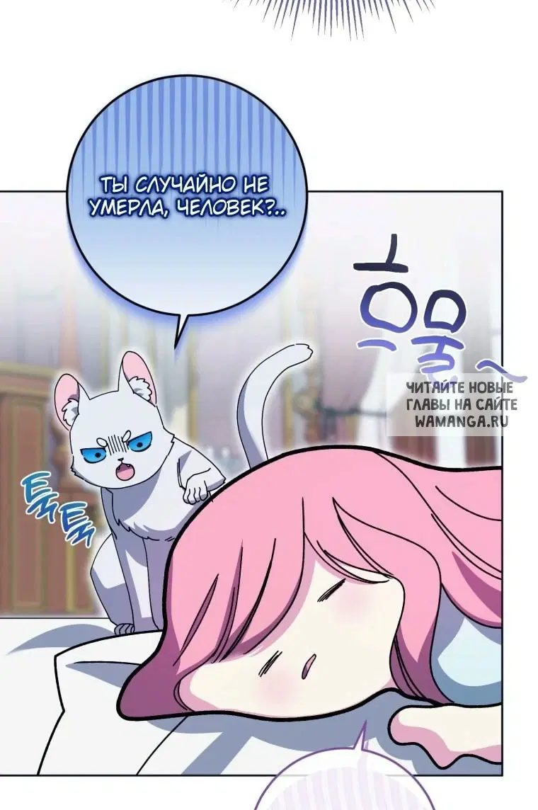 Page 45.000