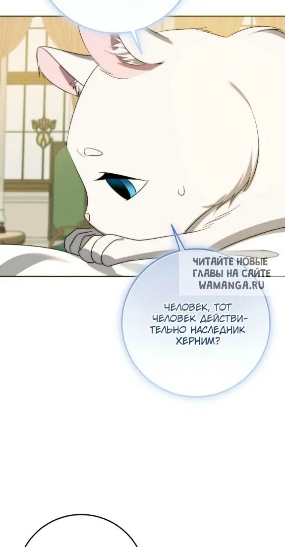 Page 45.000