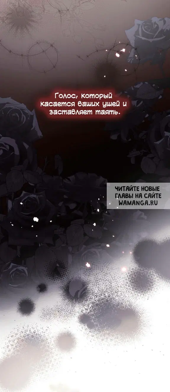 Page 48.000