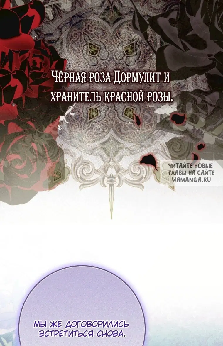 Page 48.000