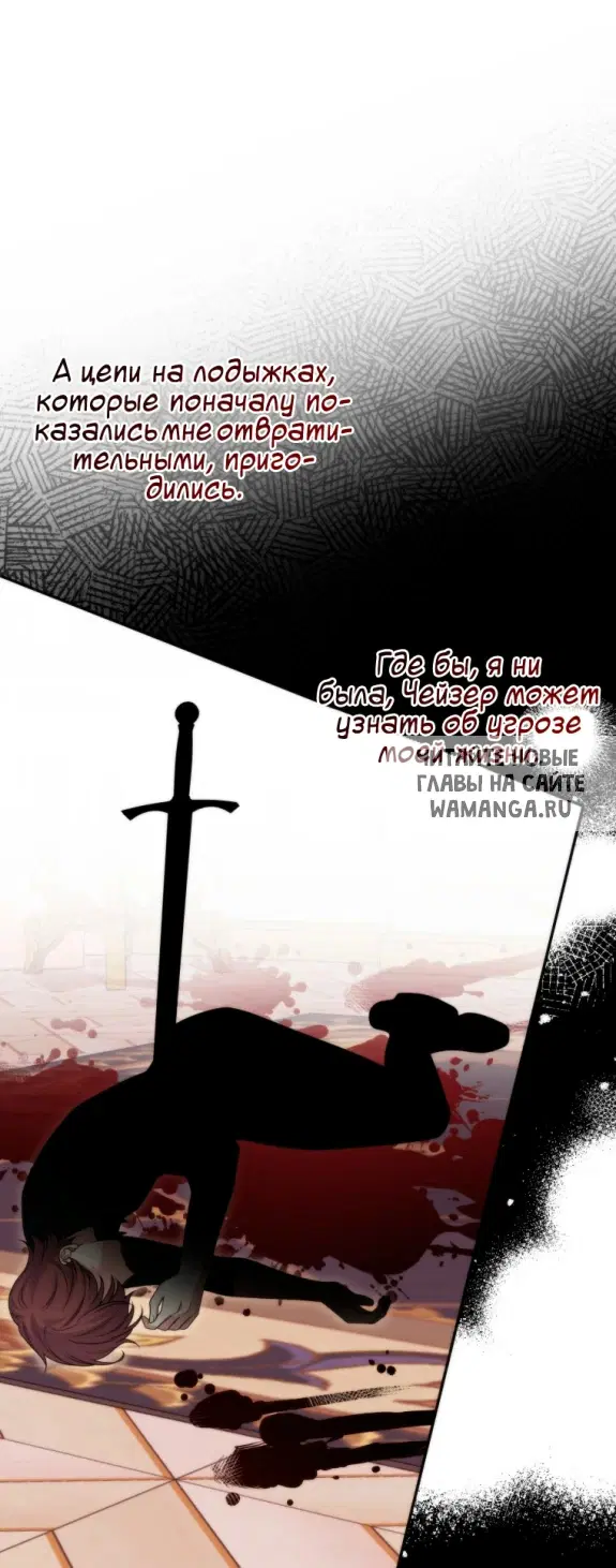 Page 48.000