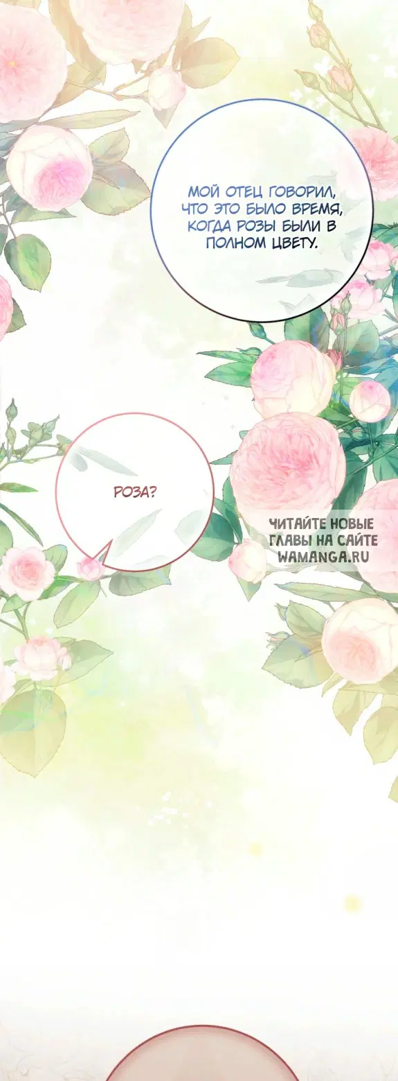 Page 49.000