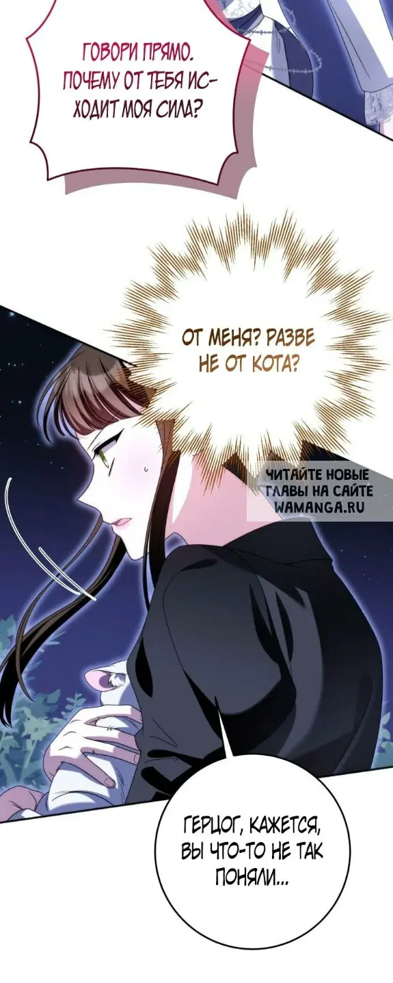 Page 49.000