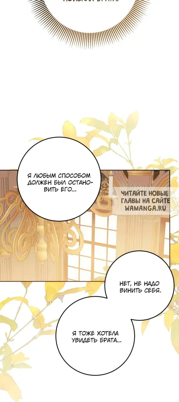 Page 41.000