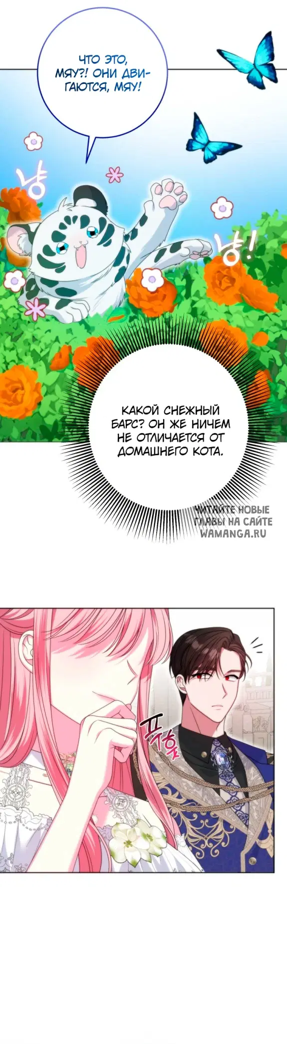 Page 41.000