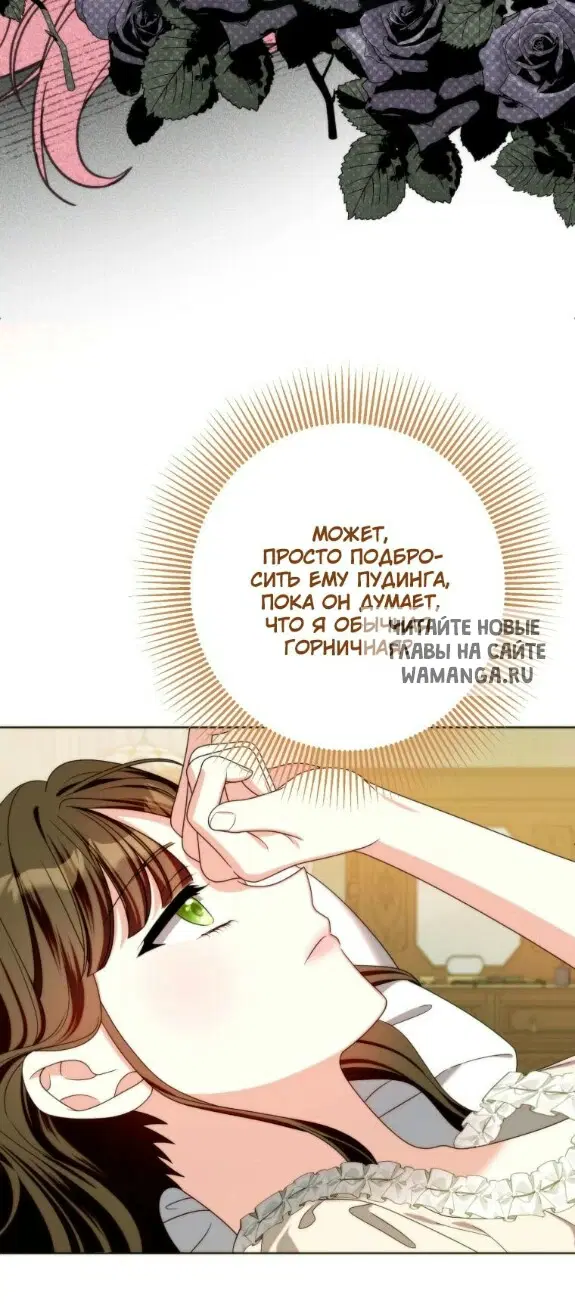 Page 41.000