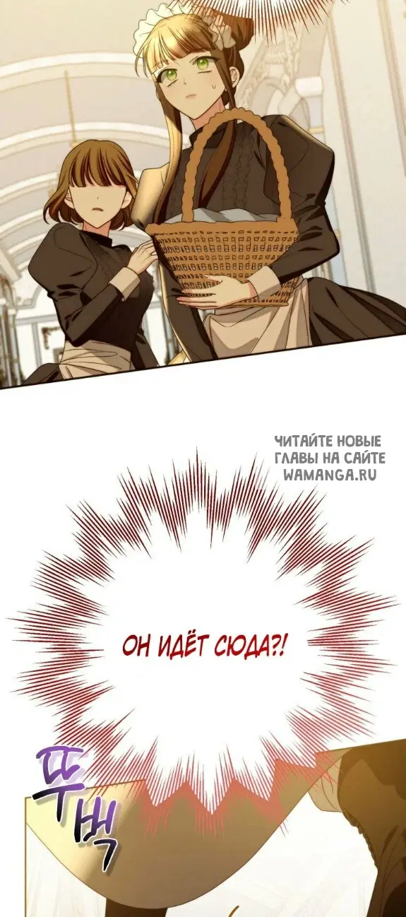 Page 41.000