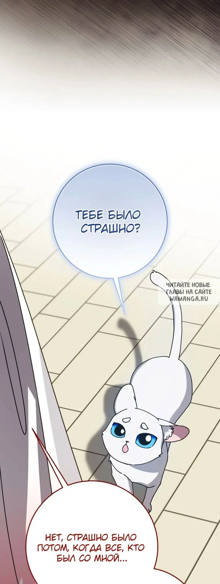 Page 41.000