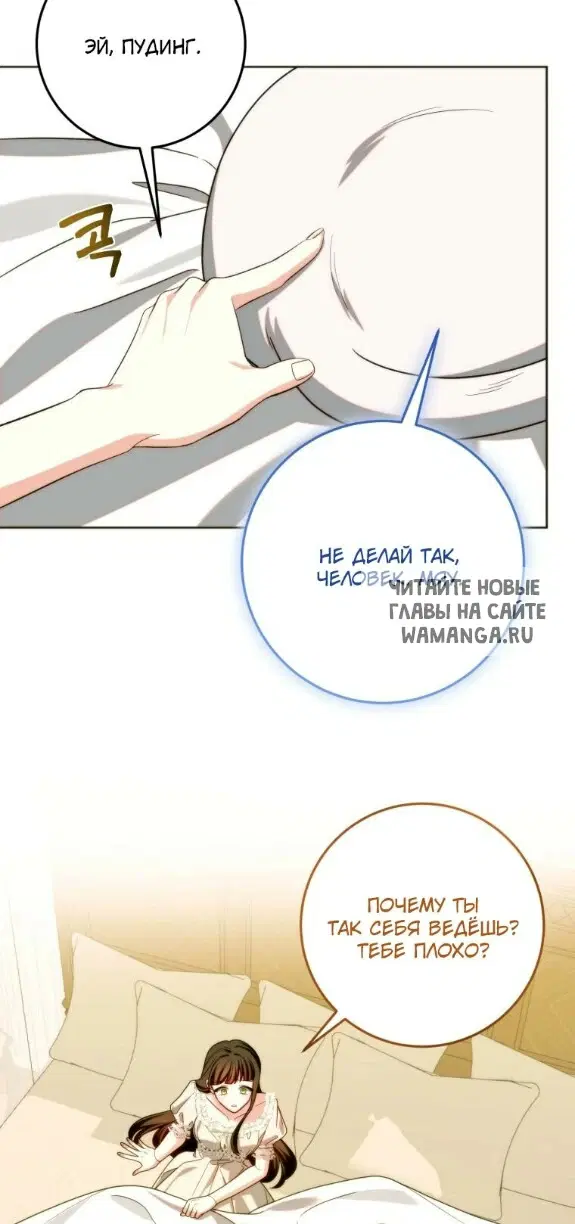 Page 43.000