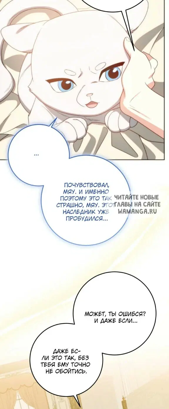 Page 54.000