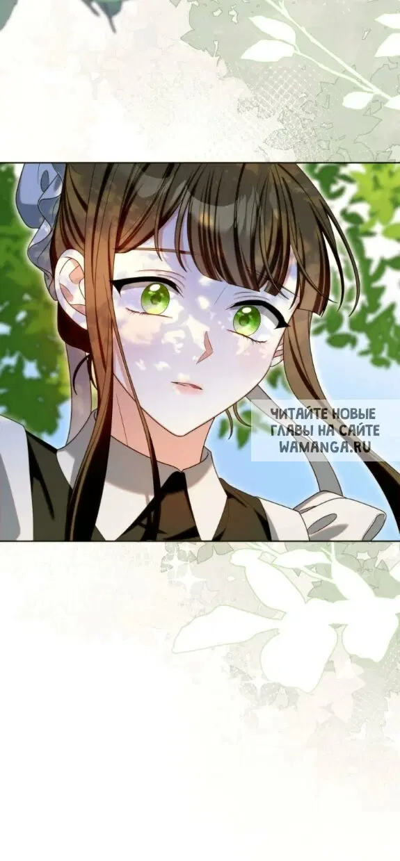 Page 50.000