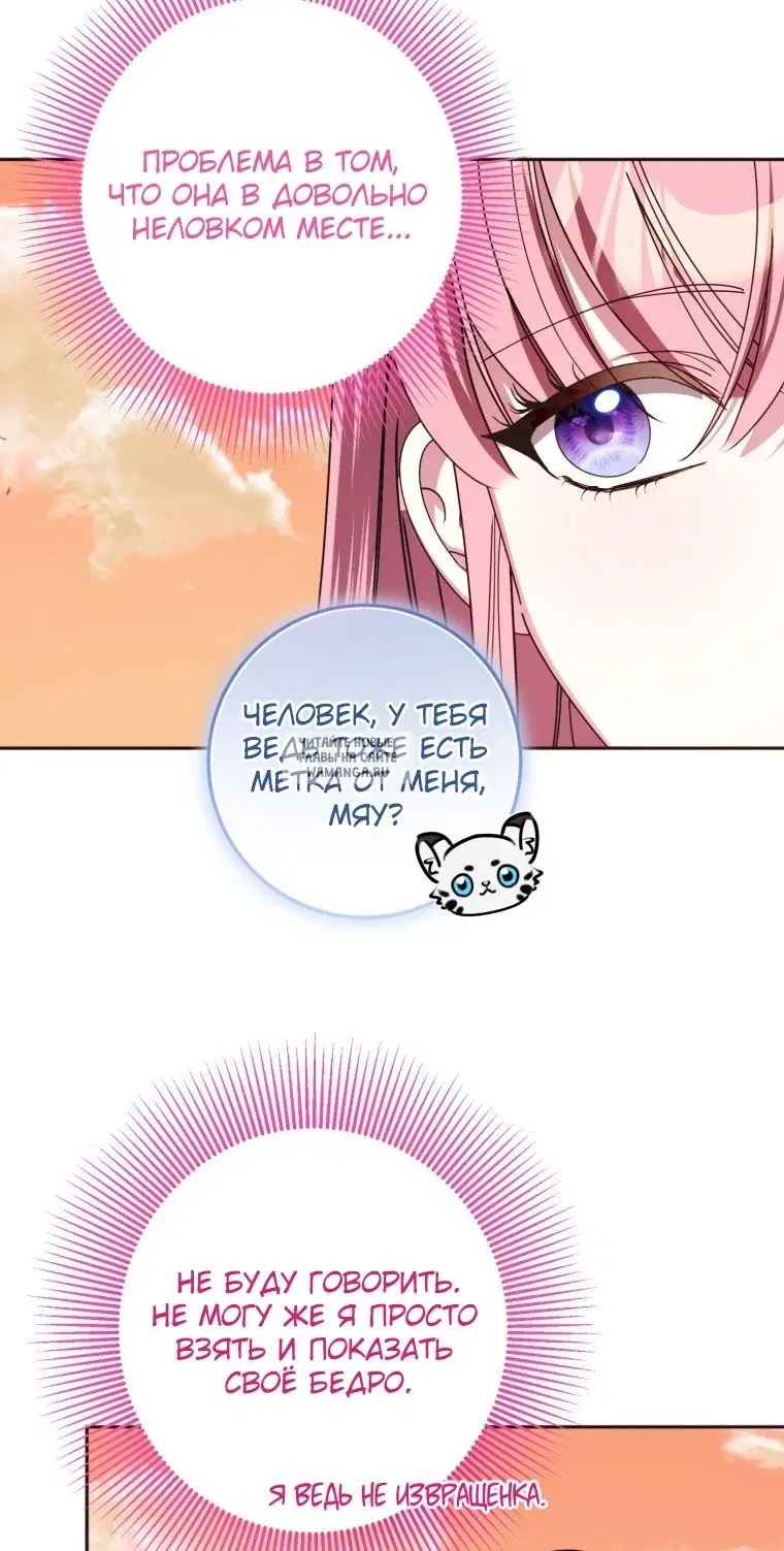 Page 50.000
