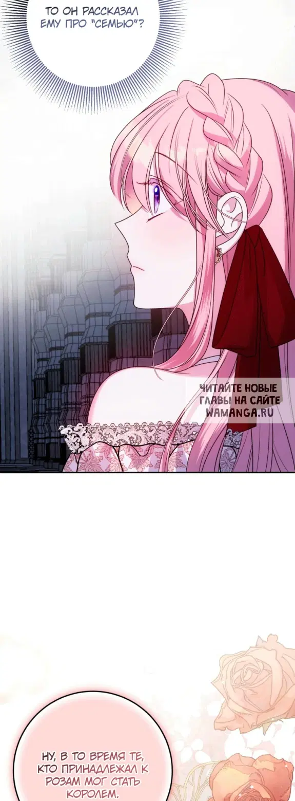 Page 51.000