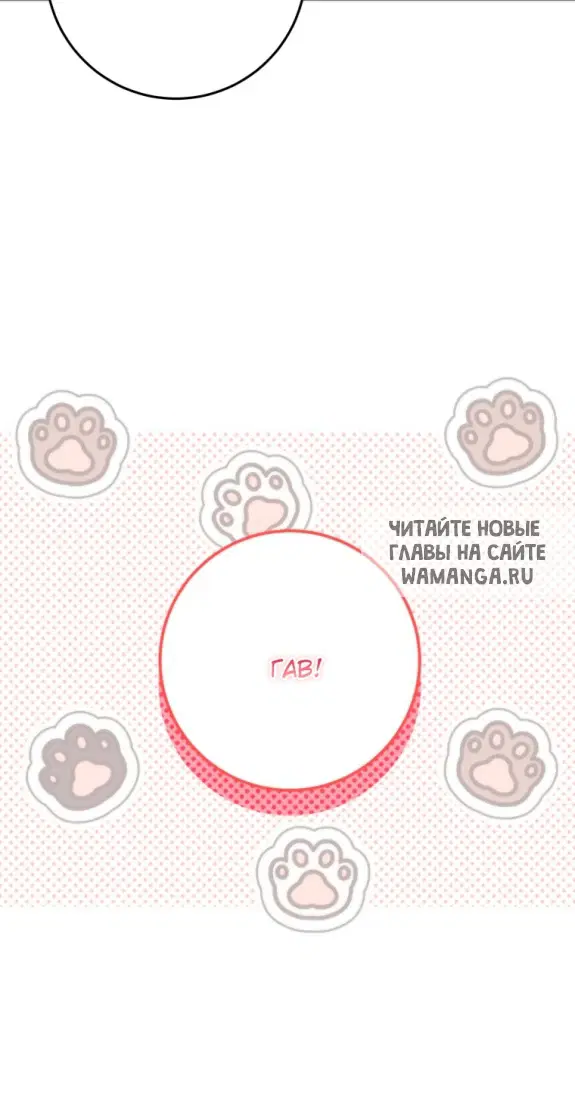 Page 51.000