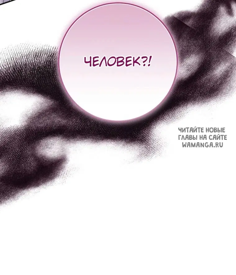 Page 51.000